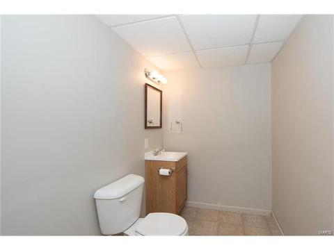 100 Bonnybridge, Ellisville, MO 63021 photo 20