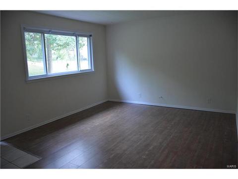 243 Ries Rd, Ballwin, MO 63021 photo 6