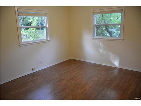 243 Ries Rd, Ballwin, MO 63021 photo 16