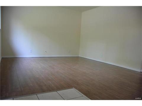 243 Ries Rd, Ballwin, MO 63021 photo 4