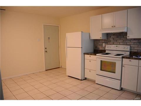 243 Ries Rd, Ballwin, MO 63021 photo 7