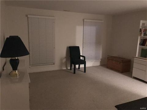 400 Cerromar, Eureka, MO 63025 photo 41