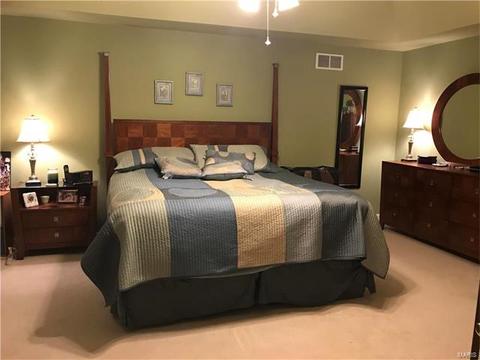 400 Cerromar, Eureka, MO 63025 photo 23