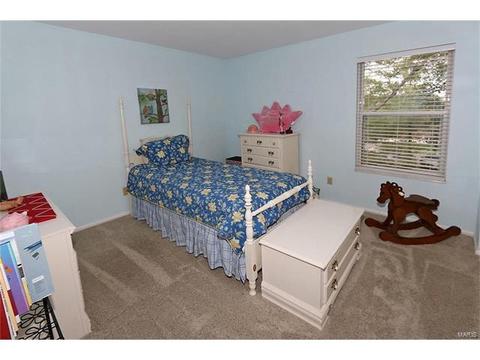 224 Kehrs Mill Trl, Ballwin, MO 63011 photo 18