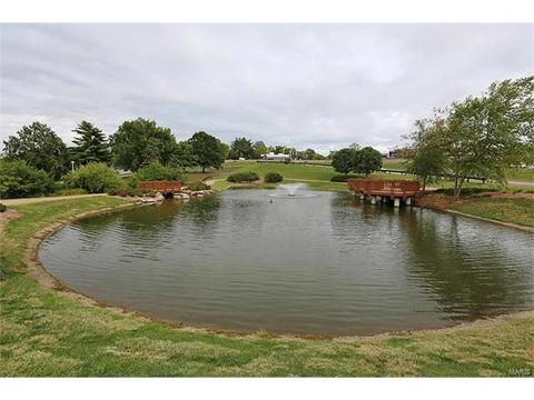 224 Kehrs Mill Trl, Ballwin, MO 63011 photo 25