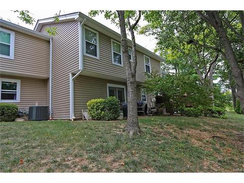 224 Kehrs Mill Trl, Ballwin, MO 63011 photo 21