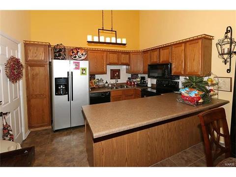 224 Kehrs Mill Trl, Ballwin, MO 63011 photo 8