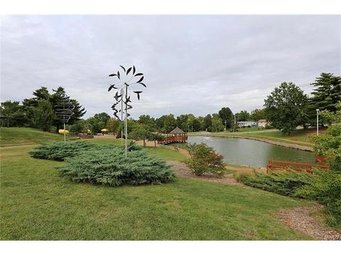 224 Kehrs Mill Trl, Ballwin, MO 63011 photo 26