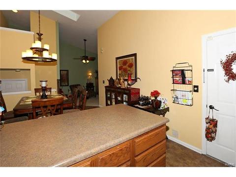 224 Kehrs Mill Trl, Ballwin, MO 63011 photo 10