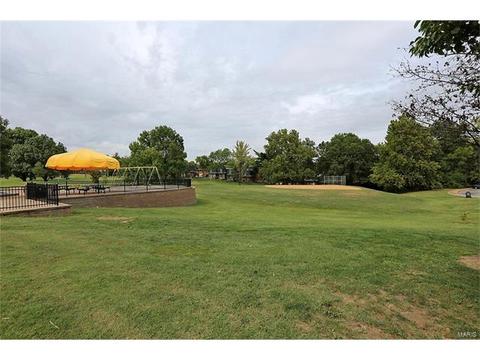 224 Kehrs Mill Trl, Ballwin, MO 63011 photo 28