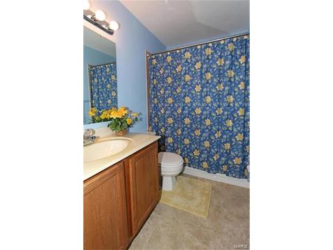 224 Kehrs Mill Trl, Ballwin, MO 63011 photo 19