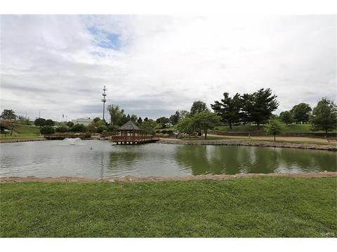 224 Kehrs Mill Trl, Ballwin, MO 63011 photo 24