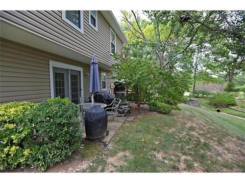 224 Kehrs Mill Trl, Ballwin, MO 63011 photo 20