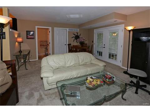 224 Kehrs Mill Trl, Ballwin, MO 63011 photo 13