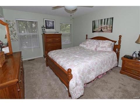 224 Kehrs Mill Trl, Ballwin, MO 63011 photo 16