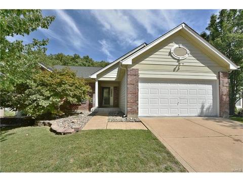 324 Buckhurst Dr, Ballwin, MO 63021 photo 45