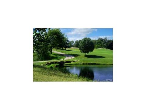 278 Ashdown Forest Ct, Weldon Spring, MO 63304 photo 31