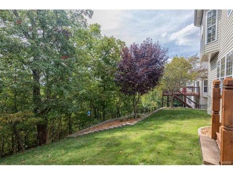 680 Meramec View Dr, Eureka, MO 63025 photo 37