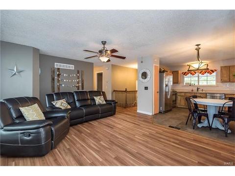 208 Wild Winds Dr, O'fallon, MO 63368 photo 4
