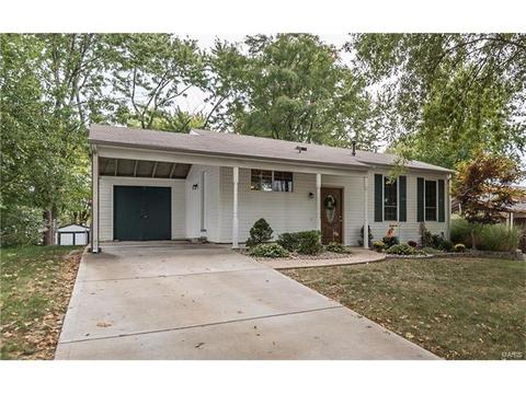 208 Wild Winds Dr, O'fallon, MO 63368 photo 22