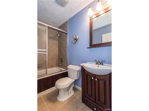 208 Wild Winds Dr, O'fallon, MO 63368 photo 12