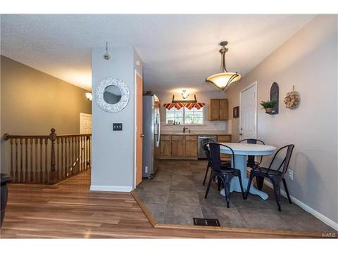 208 Wild Winds Dr, O'fallon, MO 63368 photo 6