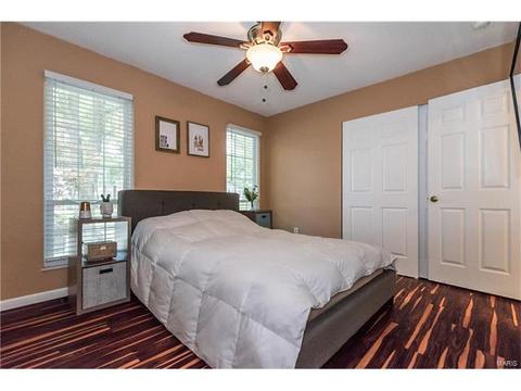 208 Wild Winds Dr, O'fallon, MO 63368 photo 10