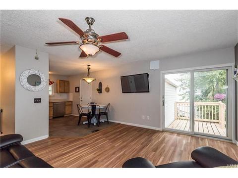 208 Wild Winds Dr, O'fallon, MO 63368 photo 3