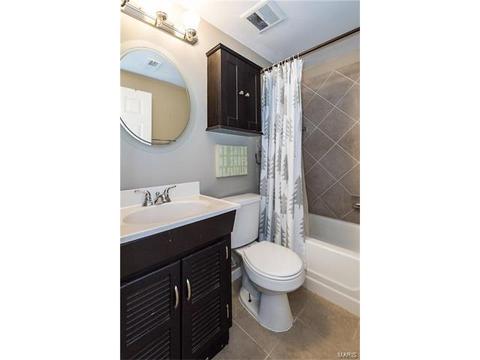 208 Wild Winds Dr, O'fallon, MO 63368 photo 17