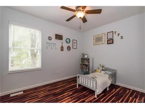 208 Wild Winds Dr, O'fallon, MO 63368 photo 11