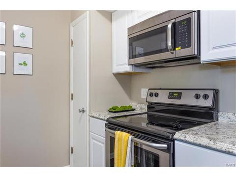 9 S Lang, O'fallon, MO 63366 photo 4