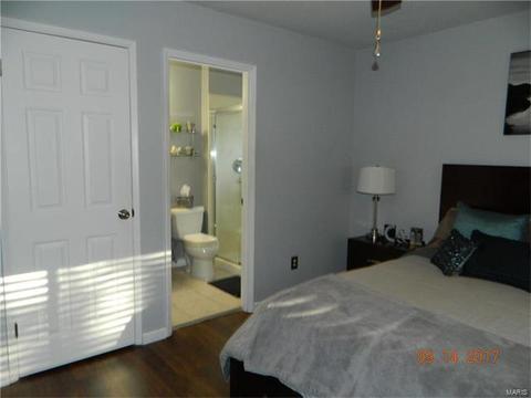 12 Somme Ct, Manchester, MO 63021 photo 10