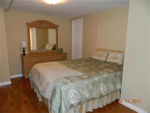 12 Somme Ct, Manchester, MO 63021 photo 18