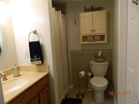 12 Somme Ct, Manchester, MO 63021 photo 16