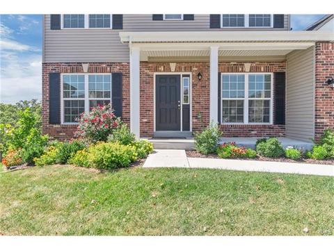 17 Bluff Brook Ct, O'fallon, MO 63366 photo 33