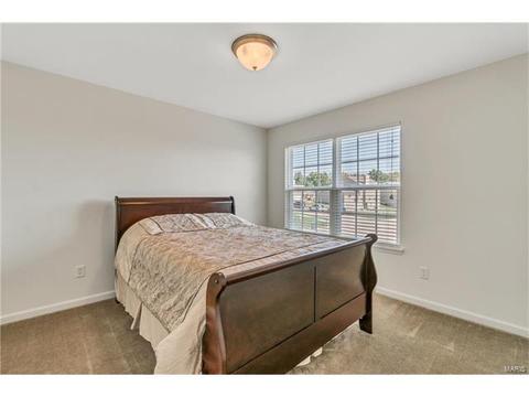 17 Bluff Brook Ct, O'fallon, MO 63366 photo 26