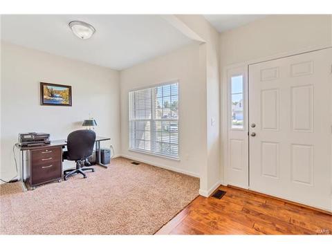 17 Bluff Brook Ct, O'fallon, MO 63366 photo 6