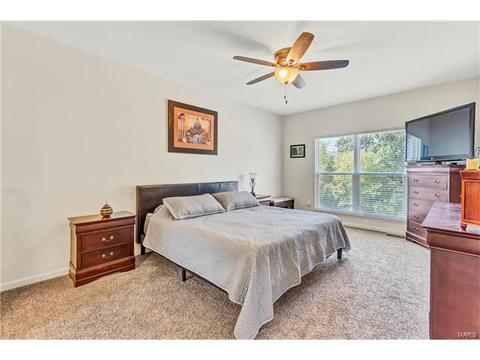 17 Bluff Brook Ct, O'fallon, MO 63366 photo 19