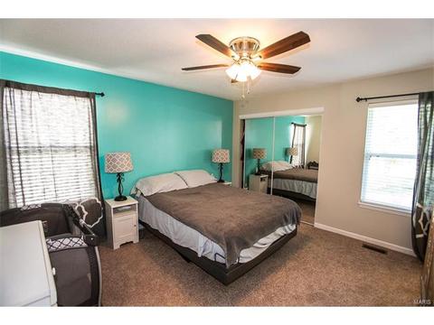 14 N Lang Dr, O'fallon, MO 63366 photo 14