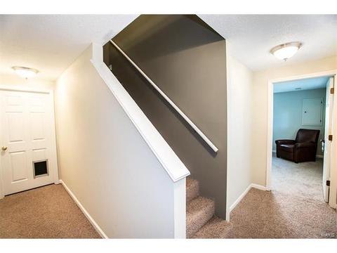 14 N Lang Dr, O'fallon, MO 63366 photo 20