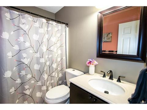 14 N Lang Dr, O'fallon, MO 63366 photo 19