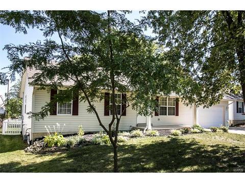 14 N Lang Dr, O'fallon, MO 63366 photo 37