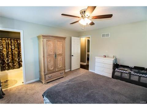 14 N Lang Dr, O'fallon, MO 63366 photo 15