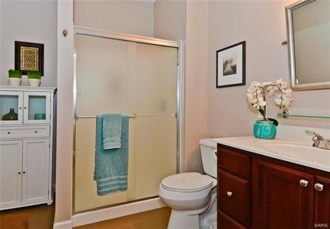 3680 Forest Edge Dr, Defiance, MO 63341 photo 24