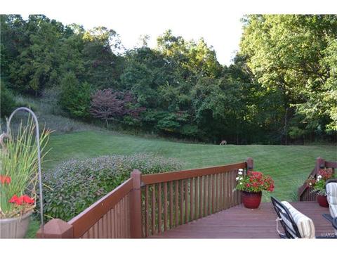 996 Kiefer Trails Dr, Ballwin, MO 63021 photo 38