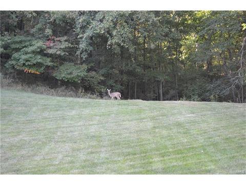 996 Kiefer Trails Dr, Ballwin, MO 63021 photo 43