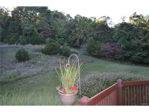 996 Kiefer Trails Dr, Ballwin, MO 63021 photo 39