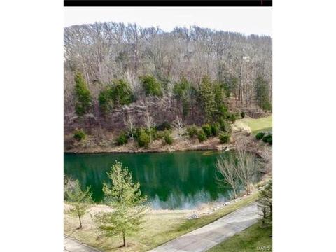 996 Kiefer Trails Dr, Ballwin, MO 63021 photo 45