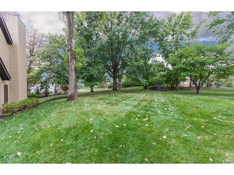 9 Baxter Ln, Chesterfield, MO 63017 photo 37