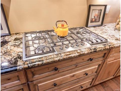 9 Baxter Ln, Chesterfield, MO 63017 photo 10